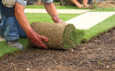 Laying turf